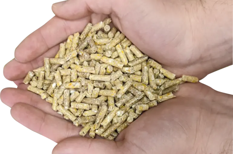 Konya Şeker Yem'den Bir İlk: Enerjim +