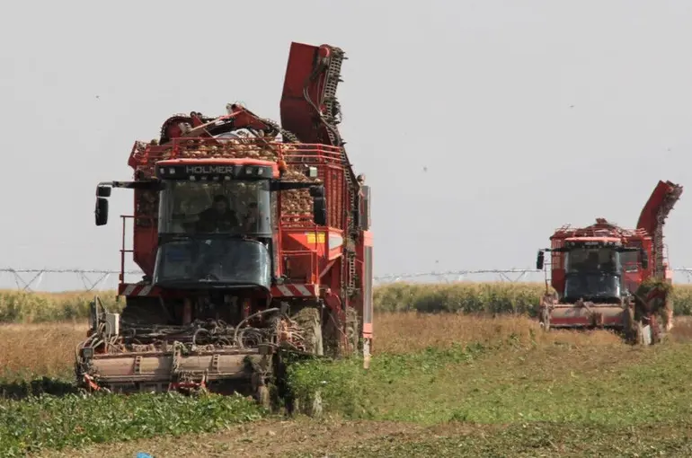 Konya Şeker'den 113 Milyon 484 Bin Tl Motorin Avansı