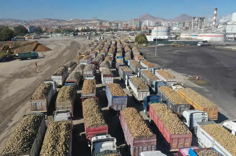 Konya Şeker’den ‘6 Milyar 272 Milyon 593 Bin TL’ Pancar Bedeli Ödemesi!