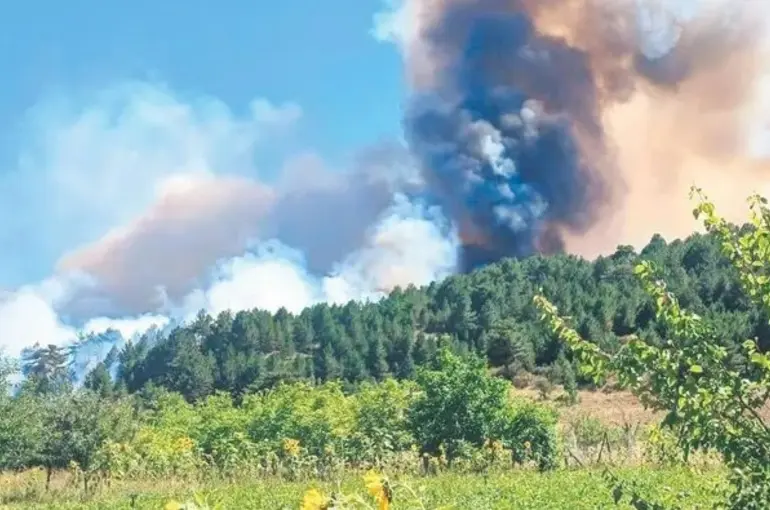 Konya'da Kameriye sevdası orman yangınına sebep oldu!