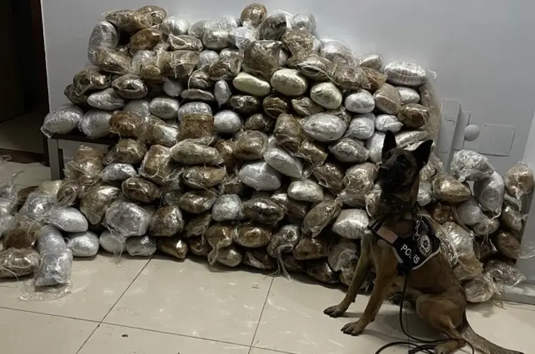 Konya'da nakliye kamyonundan 190 kg uyuşturucu çıktı