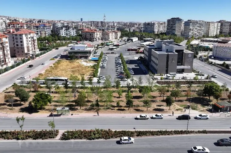 Konya’da Tramvay Çalışmalarında Dikkat Çeken Uygulama: Ağaçlar Kökleriyle Birlikte Taşınıyor”