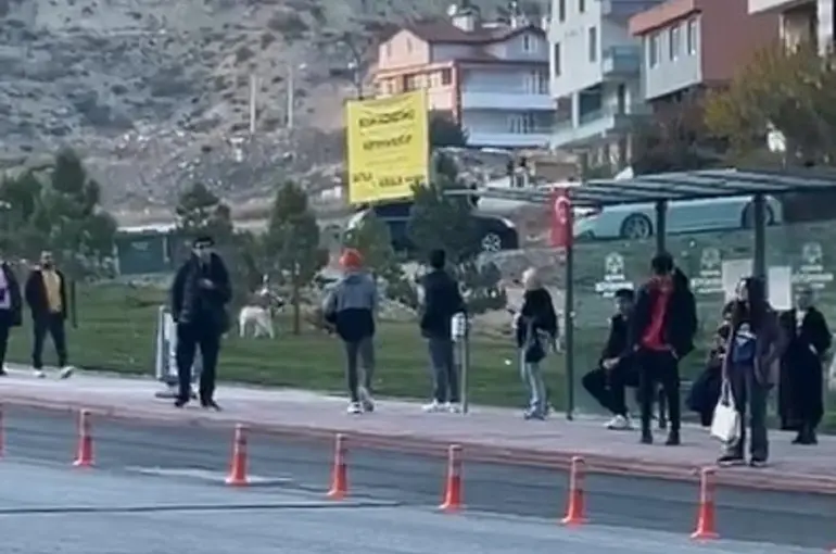 Konya’da Üniversite Öğrencileri Başıboş Köpeklerden Şikayetçi!