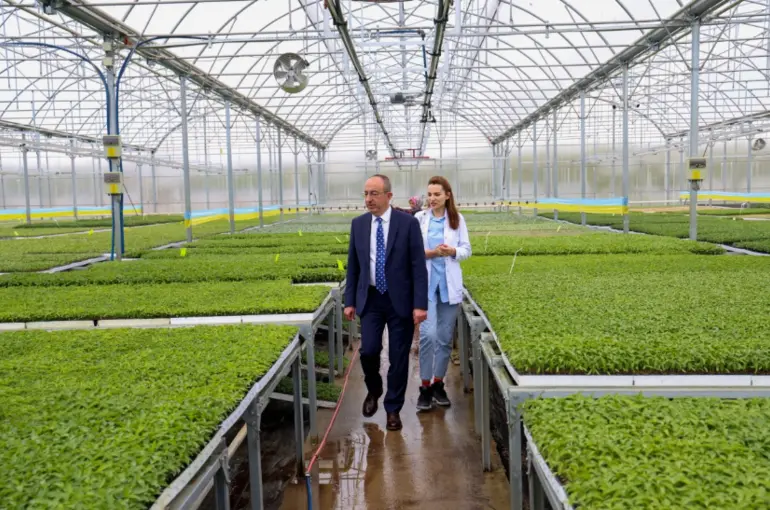Konya’nın İlk Ve Tek Sebze Fidesi Üretim Merkezi’nde Satışlar Başladı