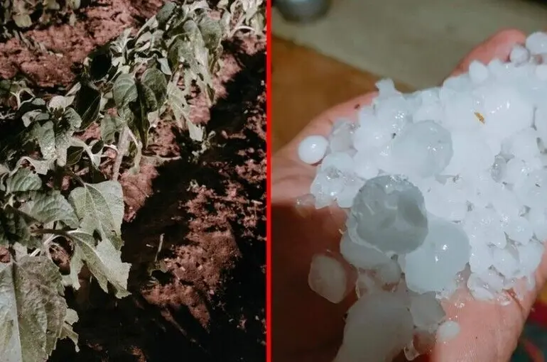 Konya’nın Kadınhanı ilçesini dolu vurdu