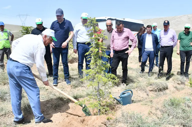 KSO, 10 bin fidanı toprakla buluşturdu