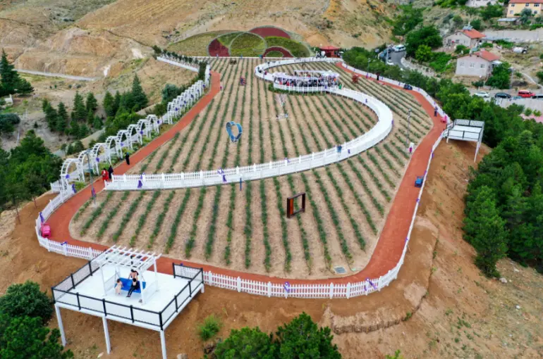 Meram Dere’nin Sokakları Lavanta Kokacak