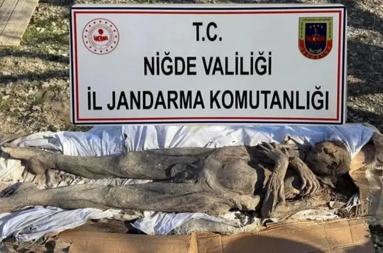 Niğde'de Şok Operasyon! Kaçakçıların Satmaya Çalıştığı Mumya Ele Geçirildi!