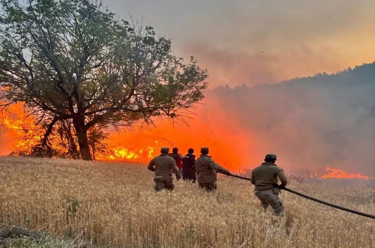 Orman Yangınlarına Karşı Topyekûn Mücadele! 4-22 Temmuz’da 61 Yangın, 23 Gözaltı!