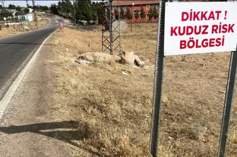Şanlıurfa'da Kuduz Köpek 4 Kişiyi Isırdı! 2 Mahalle Karantinaya Alındı!