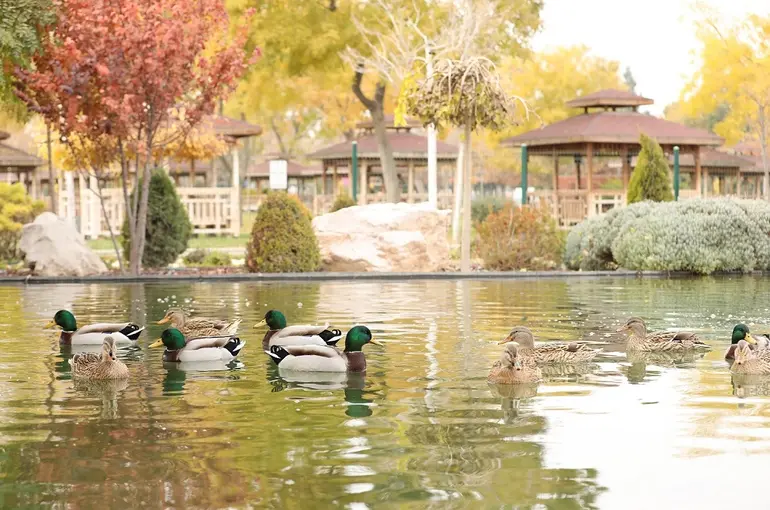 Sonbaharın Renkleri Karatay'ı Süslüyor!