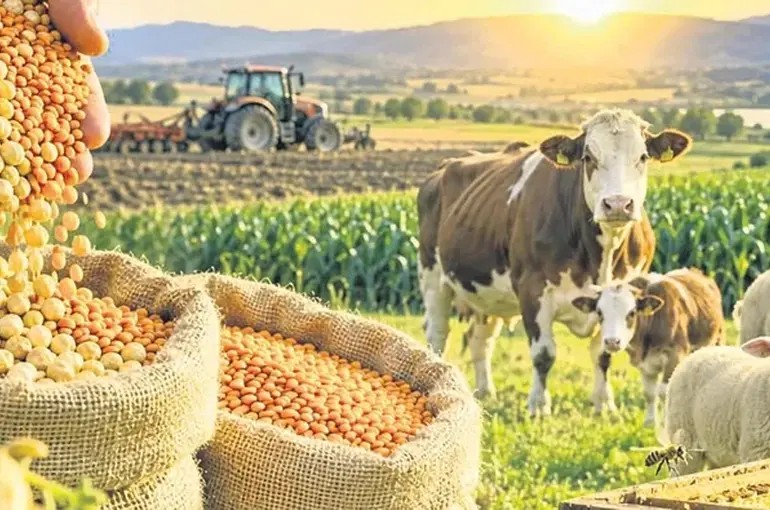 Tarım Desteklerinde Yeni Rakamlar Belli Oldu: Çiftçiye Ödeme Artıyor!