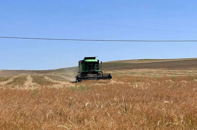 Tarımda destekler açıklandı