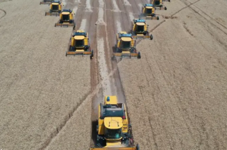 Topraklardan bereket fışkırıyor