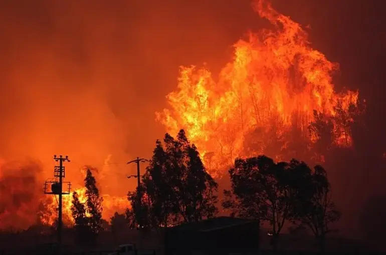 Türkiye’nin Ciğerleri Yanıyor! 72 Yangın Çıktı! 45'i Kontrol Altında!