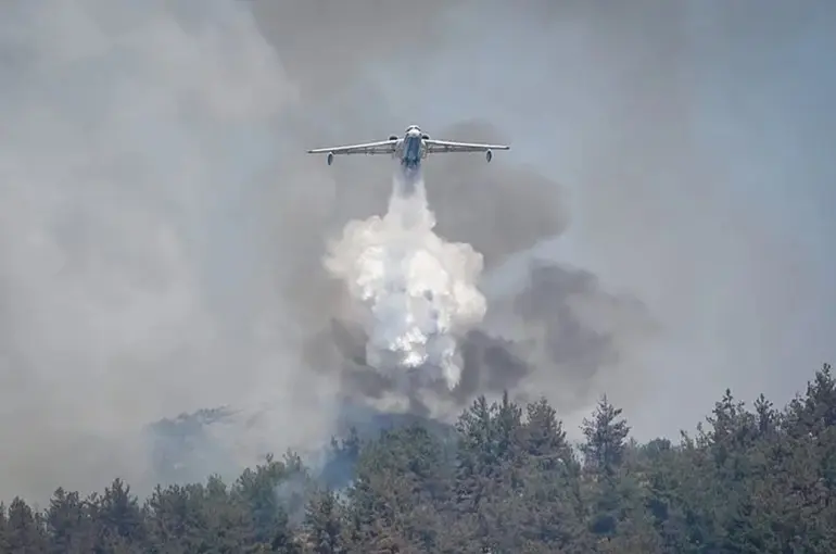 Yangınla Mücadelede Devlet-Millet Tek Yürek! 84 Noktaya Güçlü Müdahale!