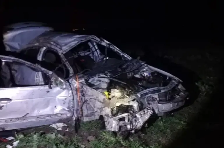 Yola Aniden Çıkan Domuz Kazaya Sebep Oldu: 1 Ölü, 1 Yaralı