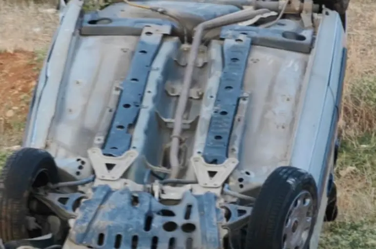 Yola çıkan köpek kazaya neden oldu: 1 ölü, 2 yaralı