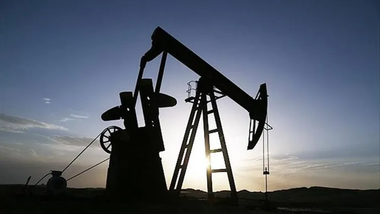 petroll.webp