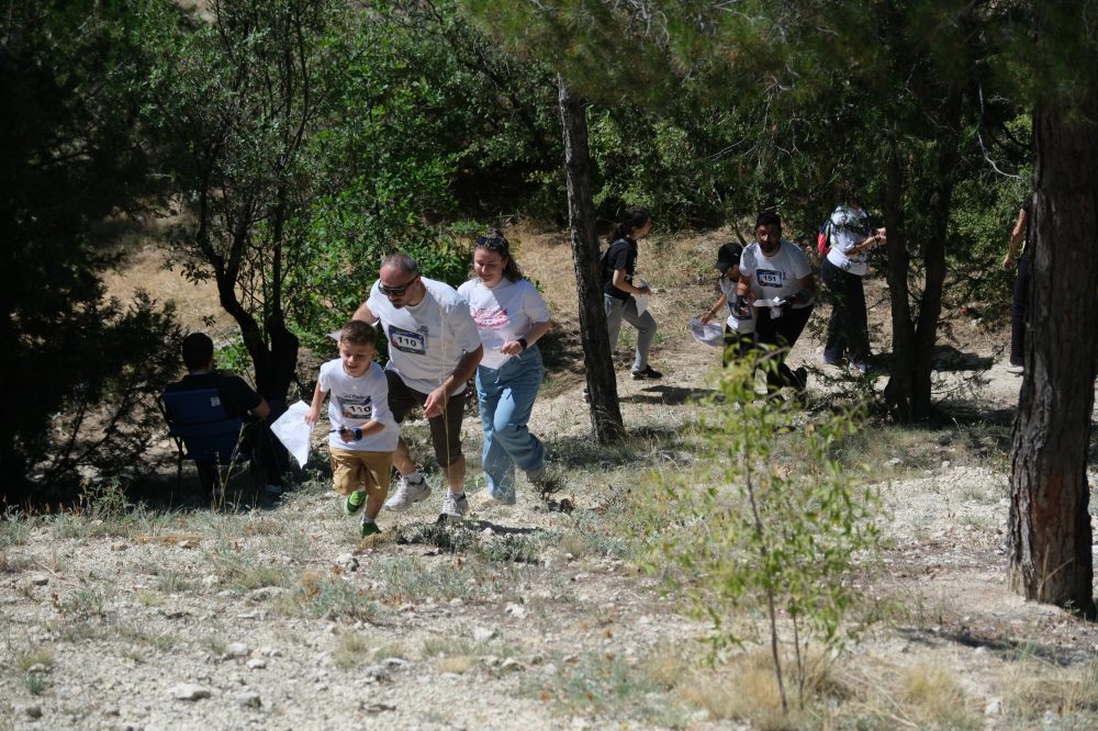 oryantırg.jpg