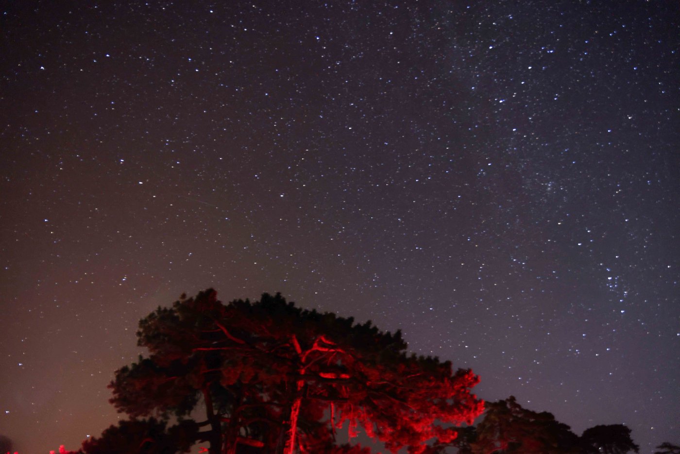 Konya Meram’da Perseid Meteor Yağmuru Coşkusu — 5