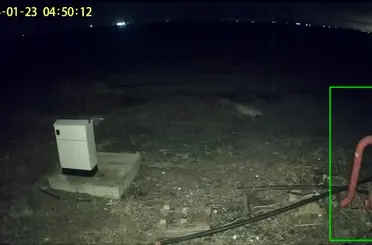Konya Karapınar'da aç kurtlar yaylalarda cirit atıyor vatandaş tedirgin