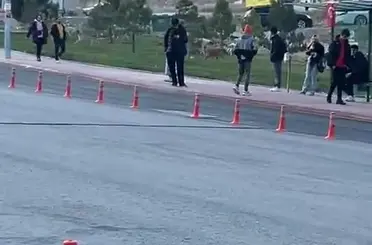 Konya’da Üniversite Öğrencileri Başıboş Köpeklerden Şikayetçi
